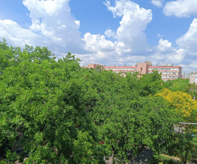 Világos, csendes lakás ingyenes parkolással