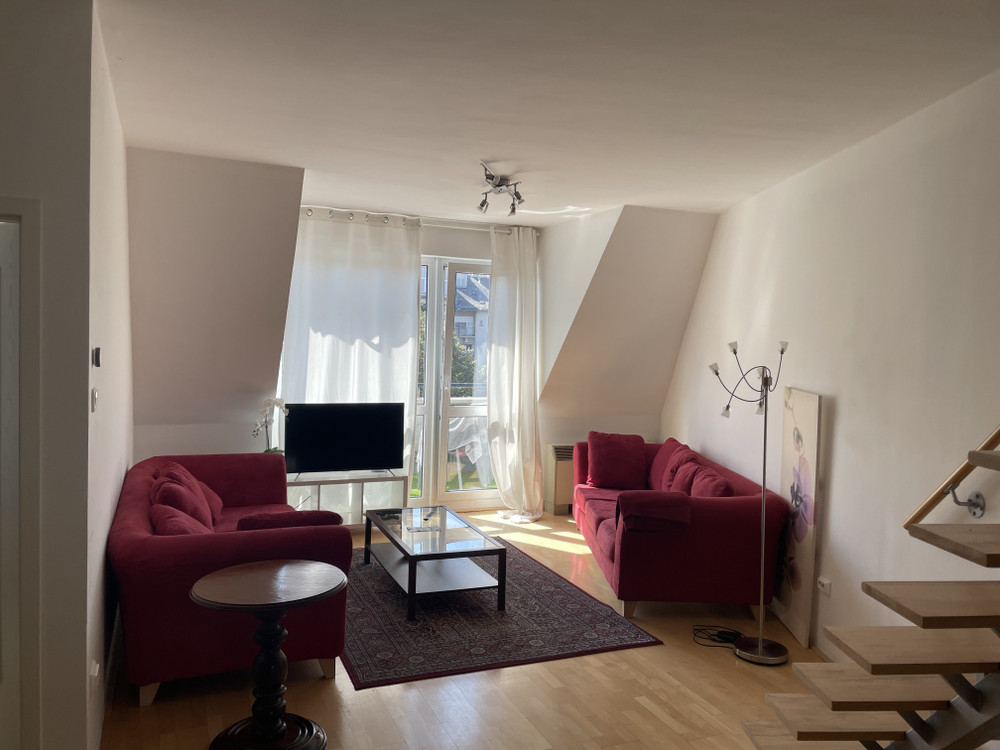 Penthouse by the Danube preview