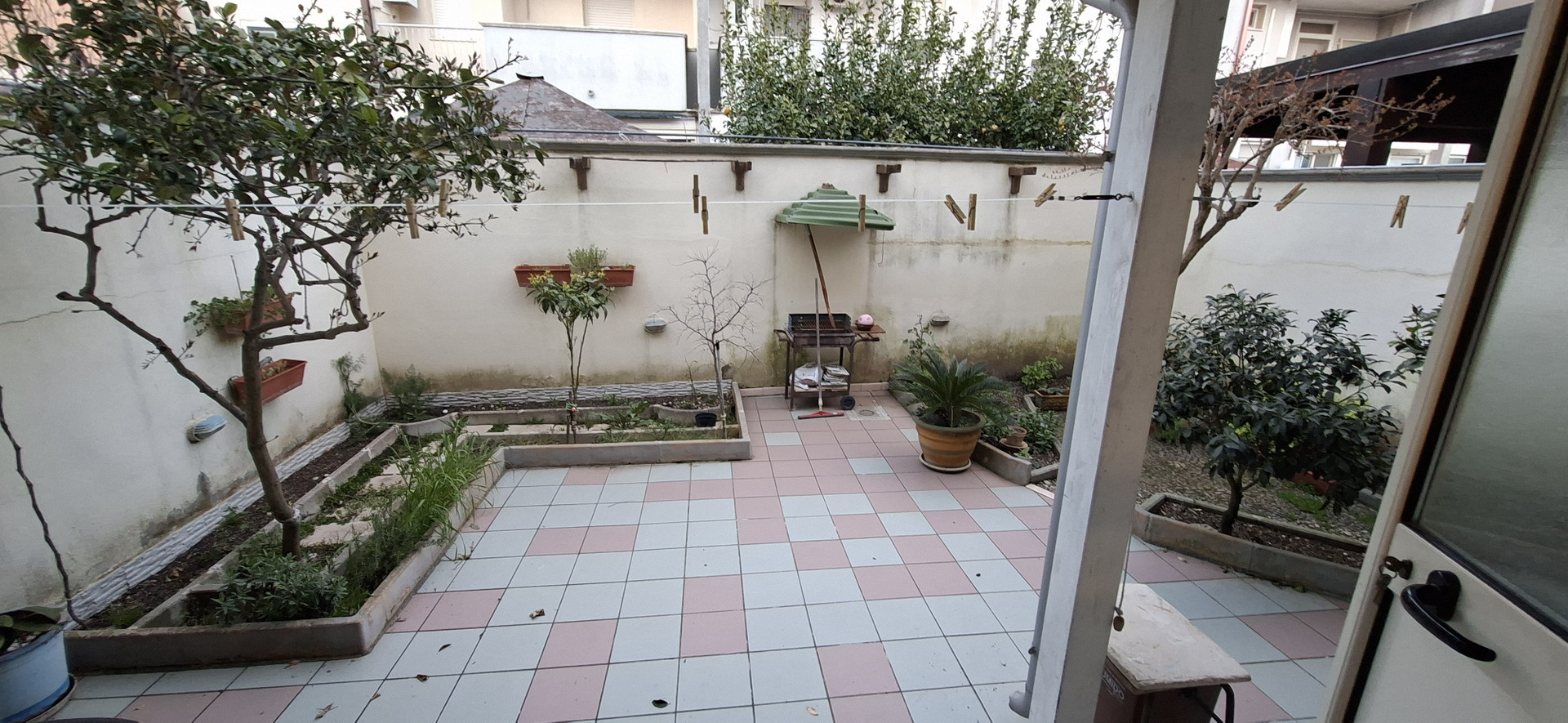 Internal garden with outdoor kitchenette and barbecue