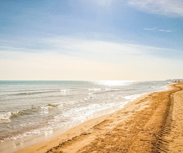 Beach shoreline at sunset