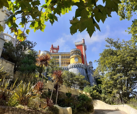 Sintra- Casa da Rocha - Flat Citrus Fruits