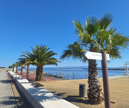 Apartment close to the lagoon, São Jacinto, Aveiro