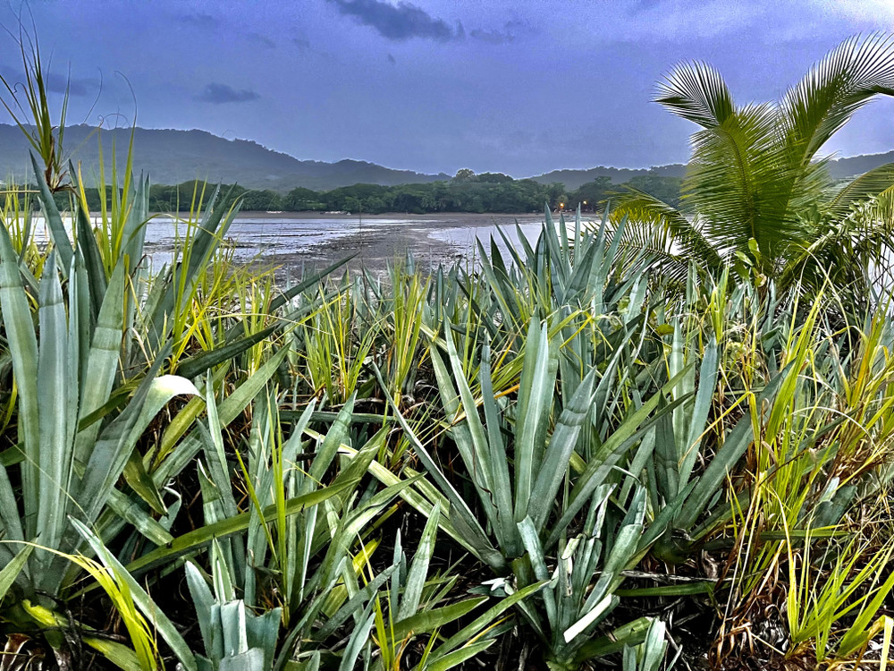 Image #62