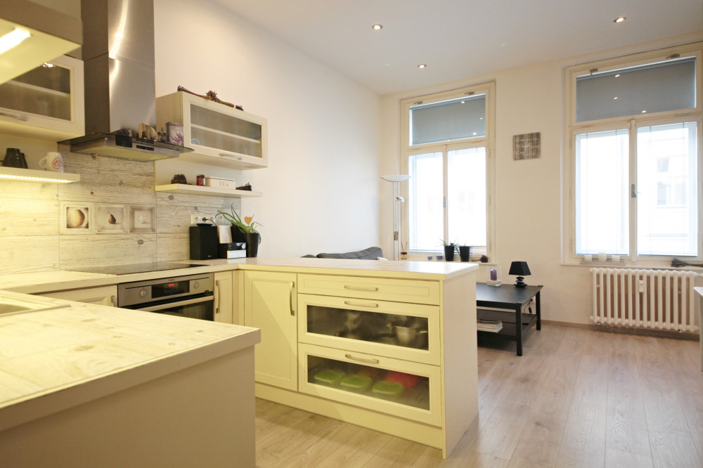 Luxury apartment with 2 bedrooms in Vinohrady