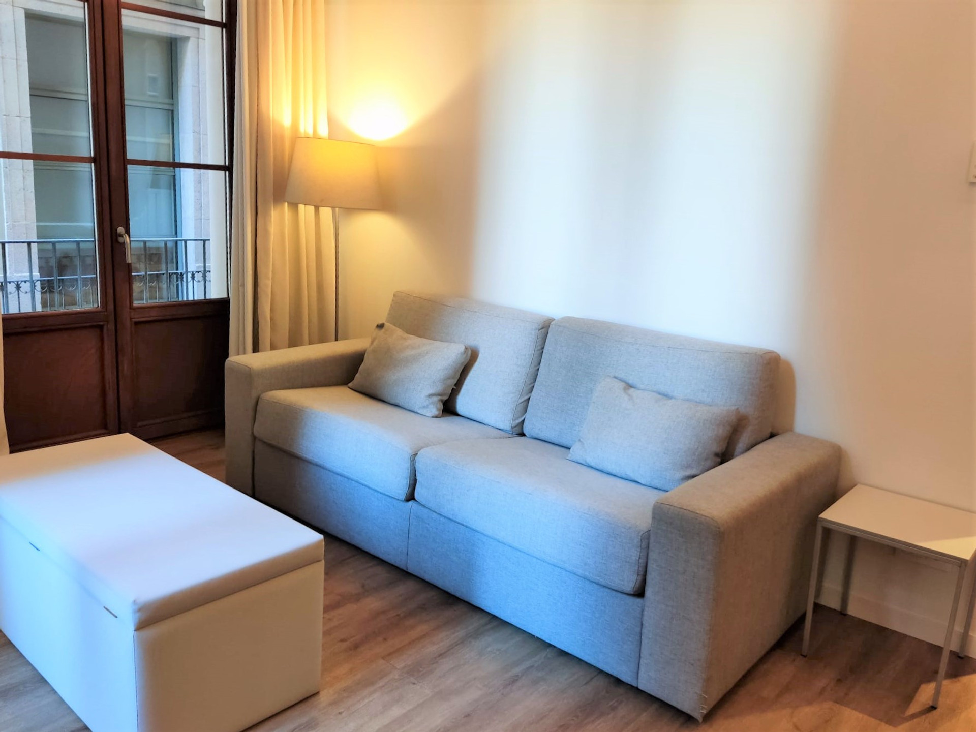 Sofa-bed in the living room