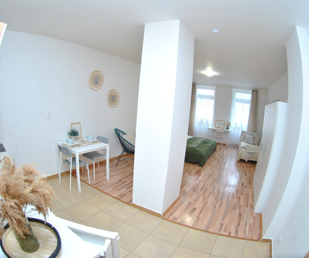 Separate sunny apartment near the centre of Brno