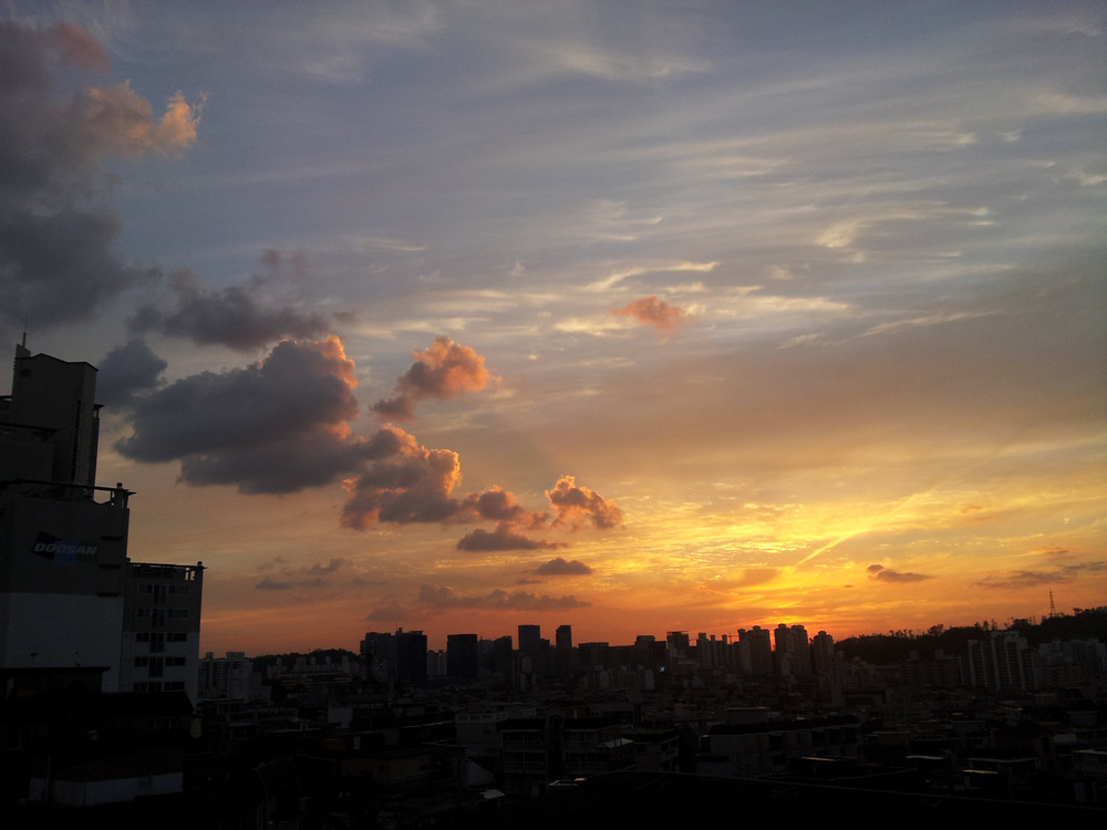 Image #27