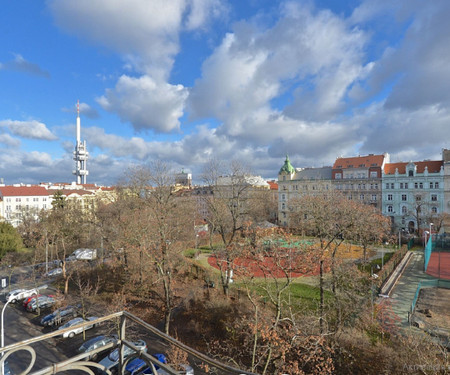 Romantic apartment in Vinohrady