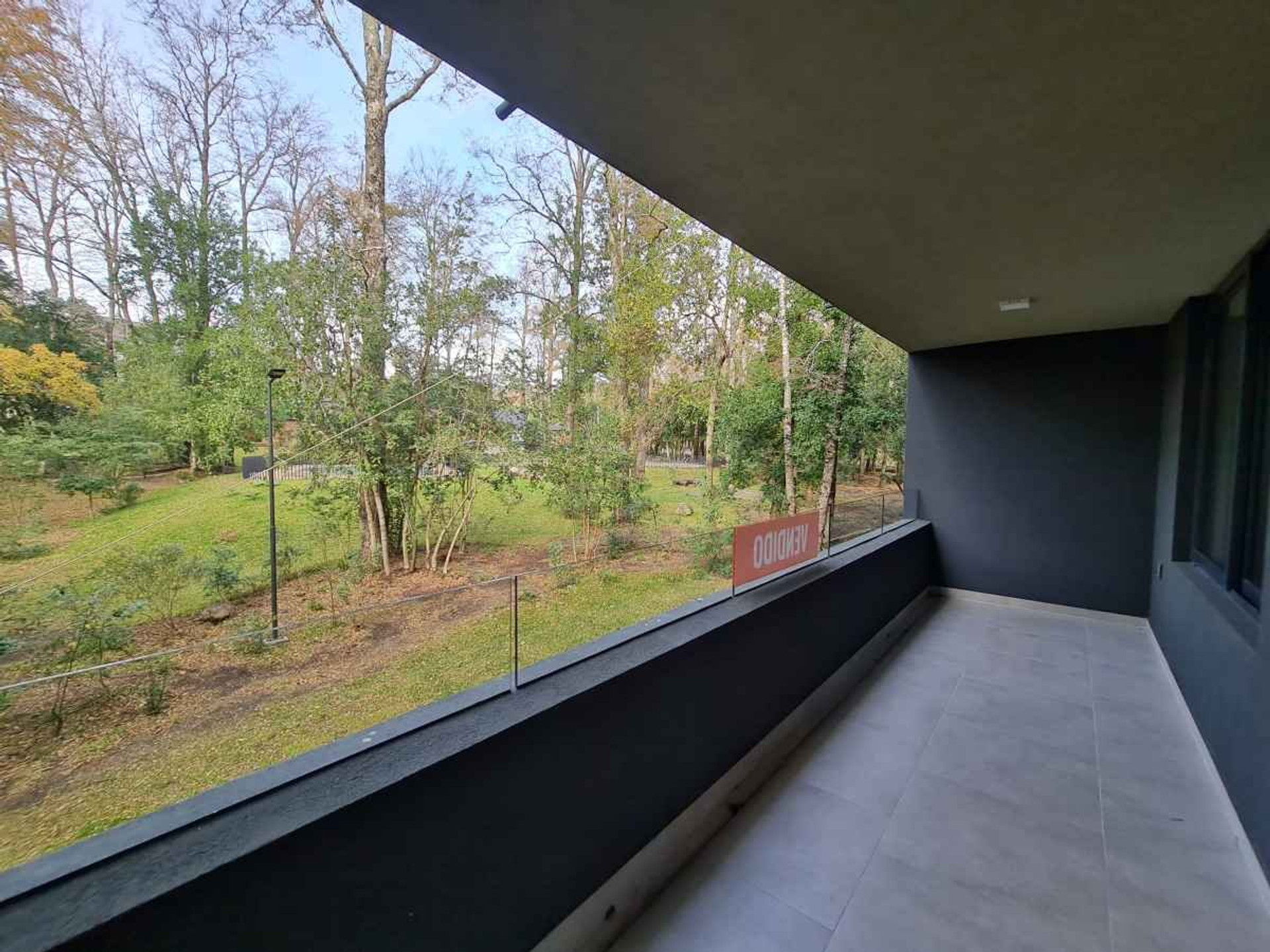 Private terrace with native forest views. Enjoy your morning coffee, take Zoom calls surrounded by greenery, or unwind after exploring the lake and volcano.