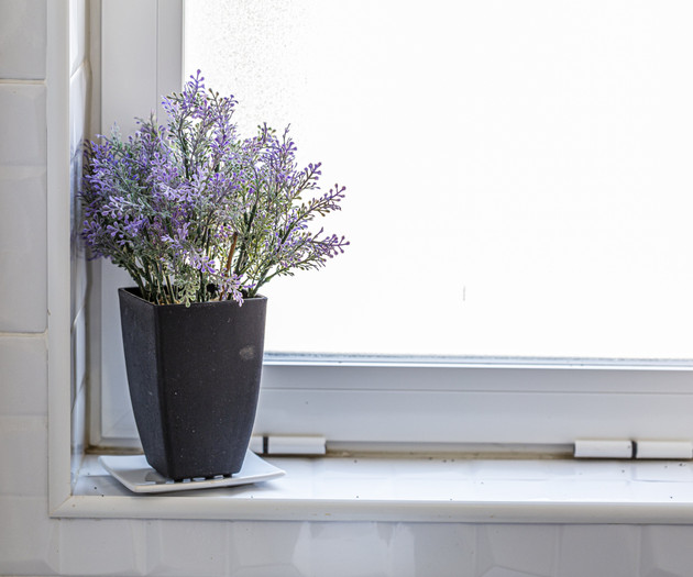 Lavender plant on bathroom window