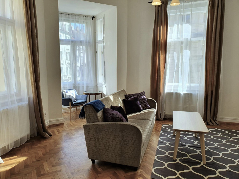 Modern 2 bedroom apartment in Vinohrady preview