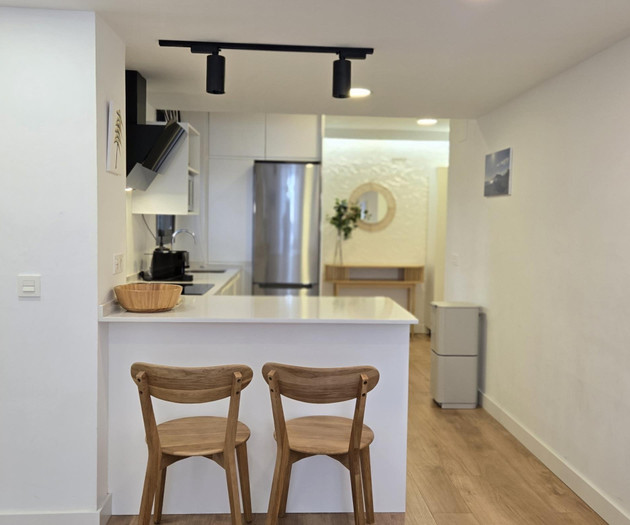 Del Parque Flats Dos Aceras Penthouse
