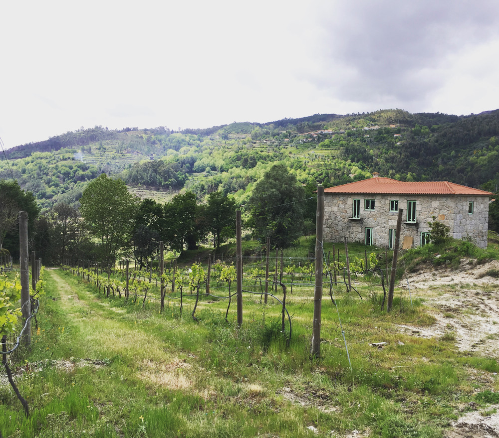 Penhó Vineyard House preview
