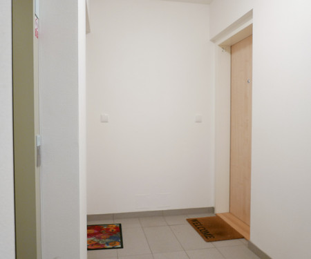 Apartment Brno centrum with private parking