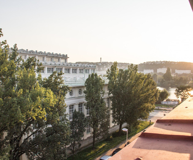 Sunny apartment in the center of Prague