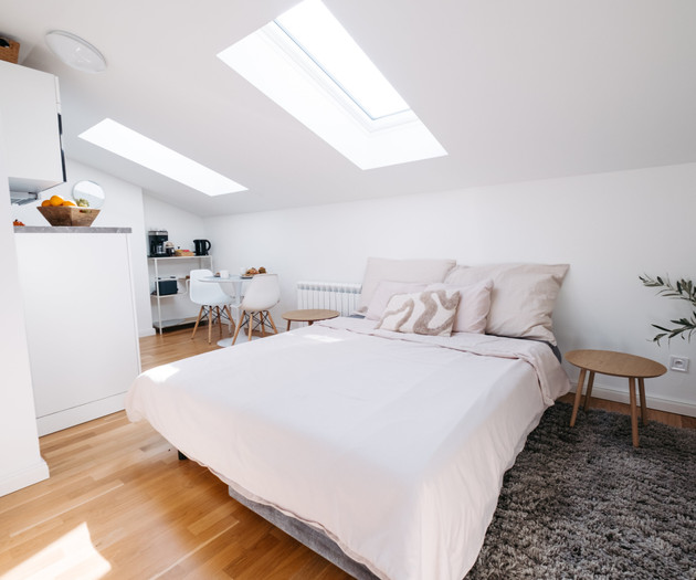 Skylight apartment in Wenceslas Square