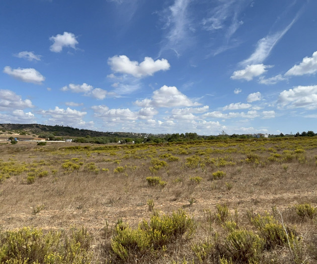 Open countryside landscape
