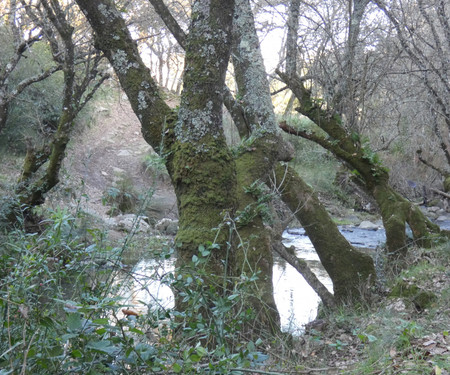 Country house 15 m from Sintra and the sea!