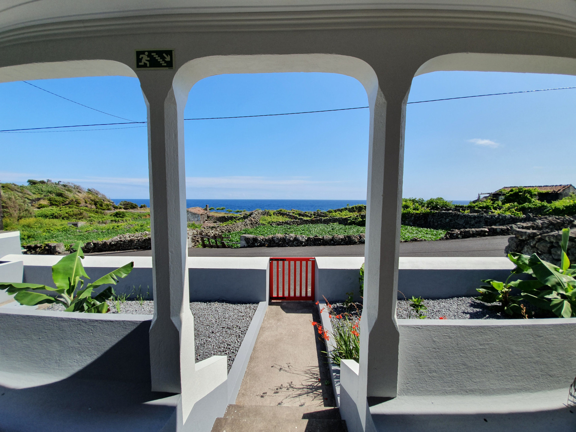 Frontyard