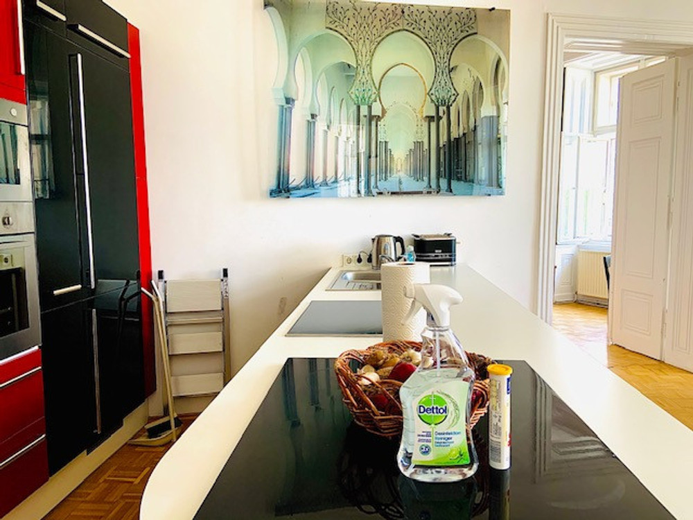 Sunny Apartment in Heart of Vienna preview