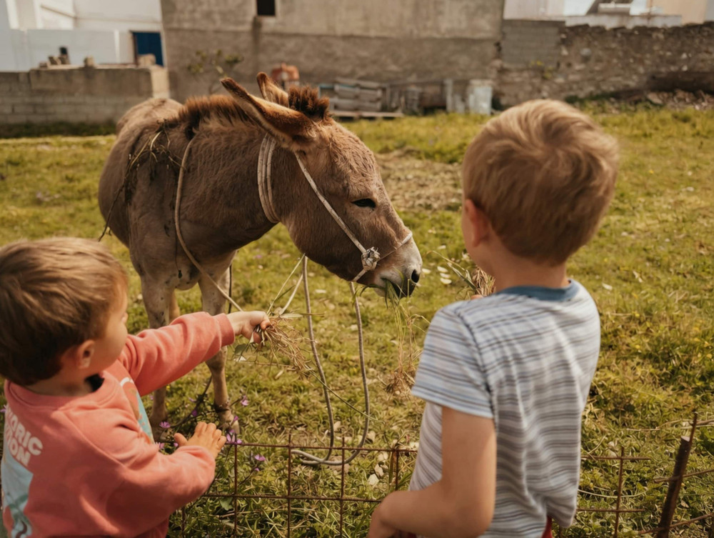 Image #76