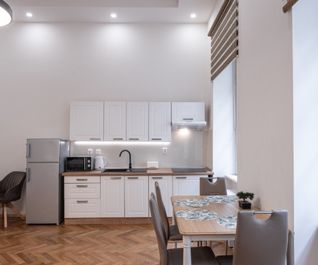 Newly renovated apartment in the center of Prague