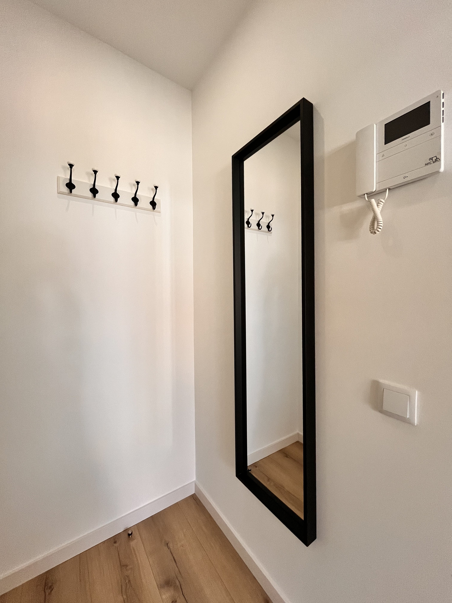 Wall mirror, hangers and video intercom