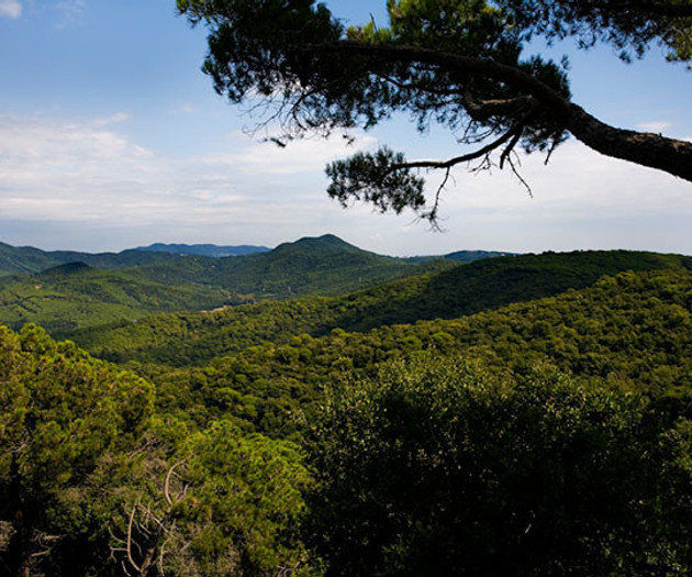 Villa Lumière – Between Barcelona, sea & mountains