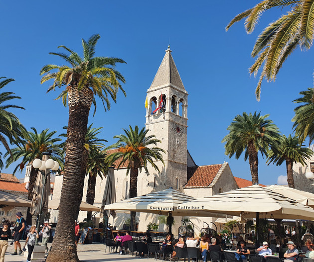 Church tower with palm trees