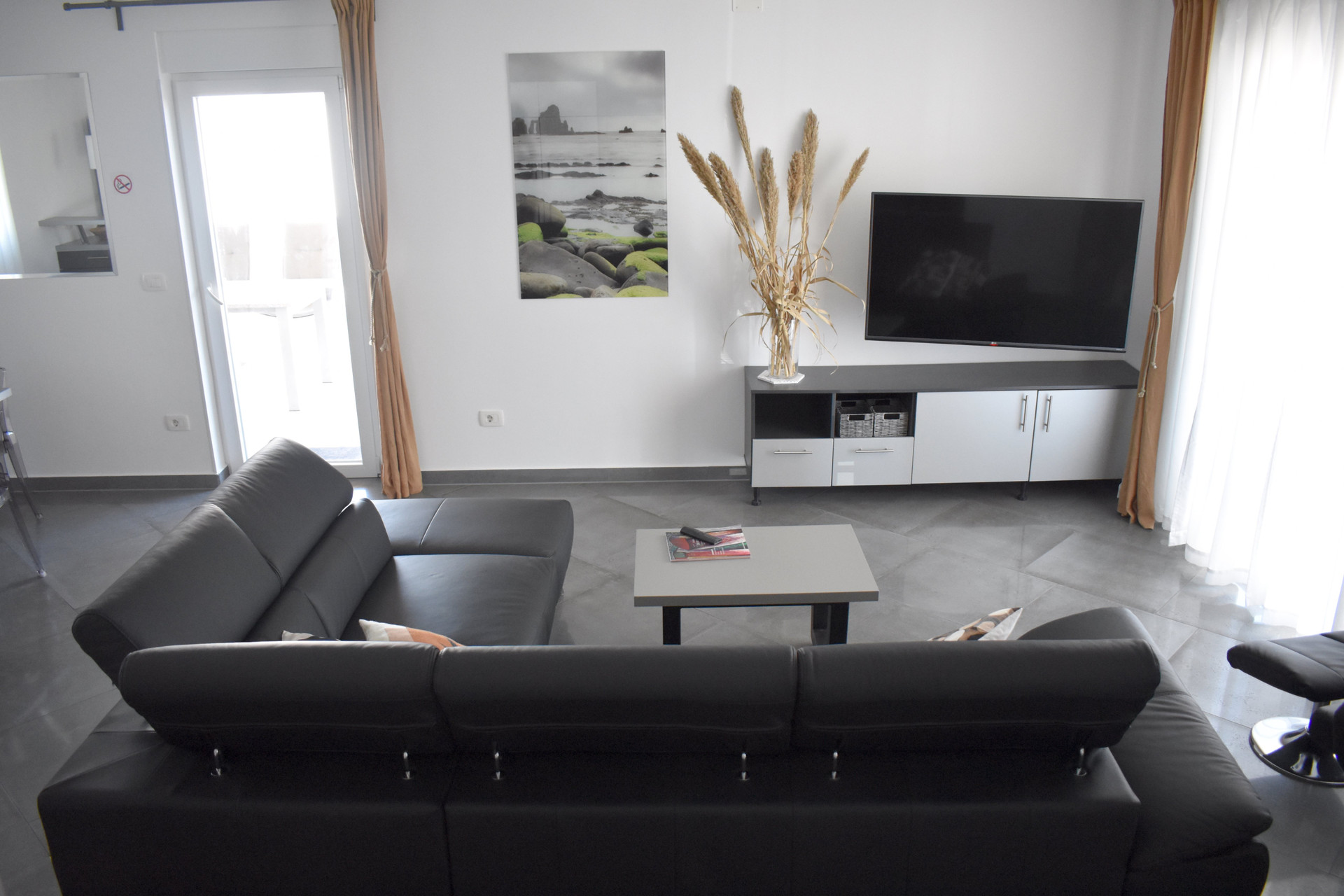 Living room sofa and TV
