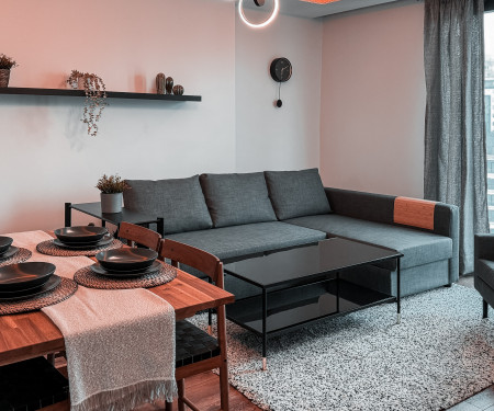 Cozy Modern Fully Furnished Apartment