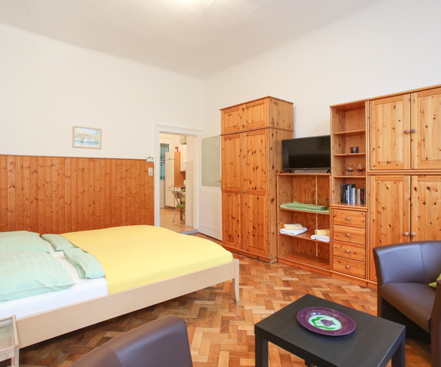 Cozy One-Room Apartment