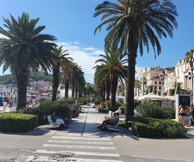 Palm tree lined seaside path