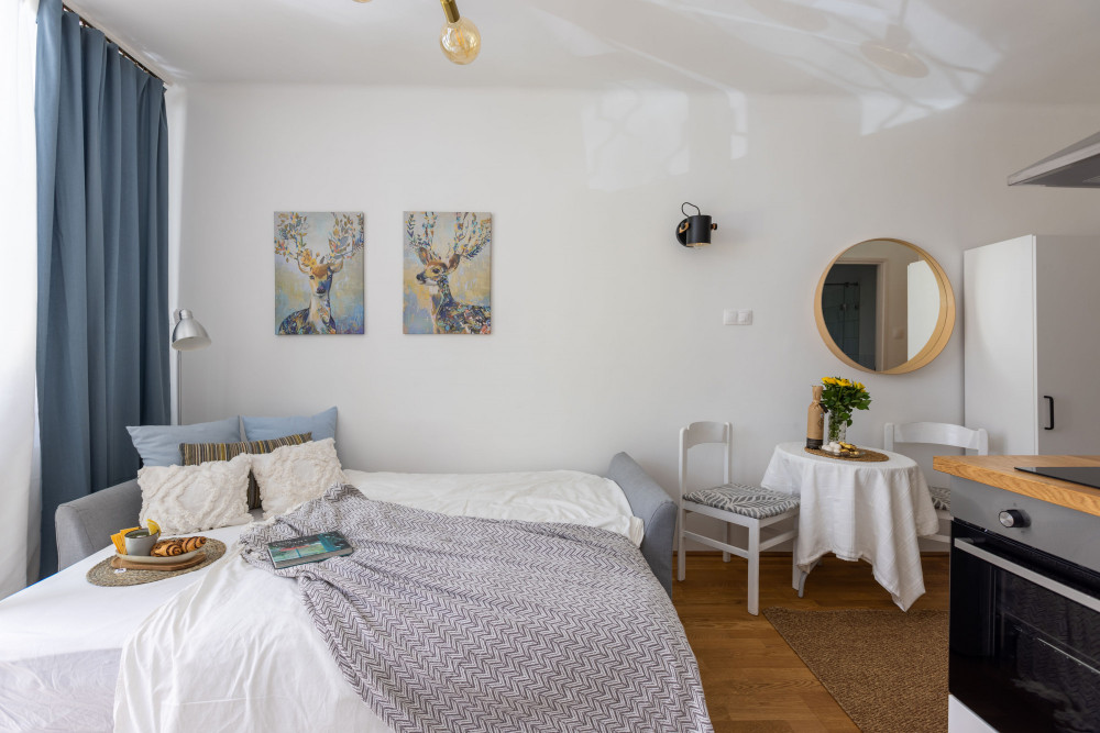 Cozy, modern-style studion in Buda preview