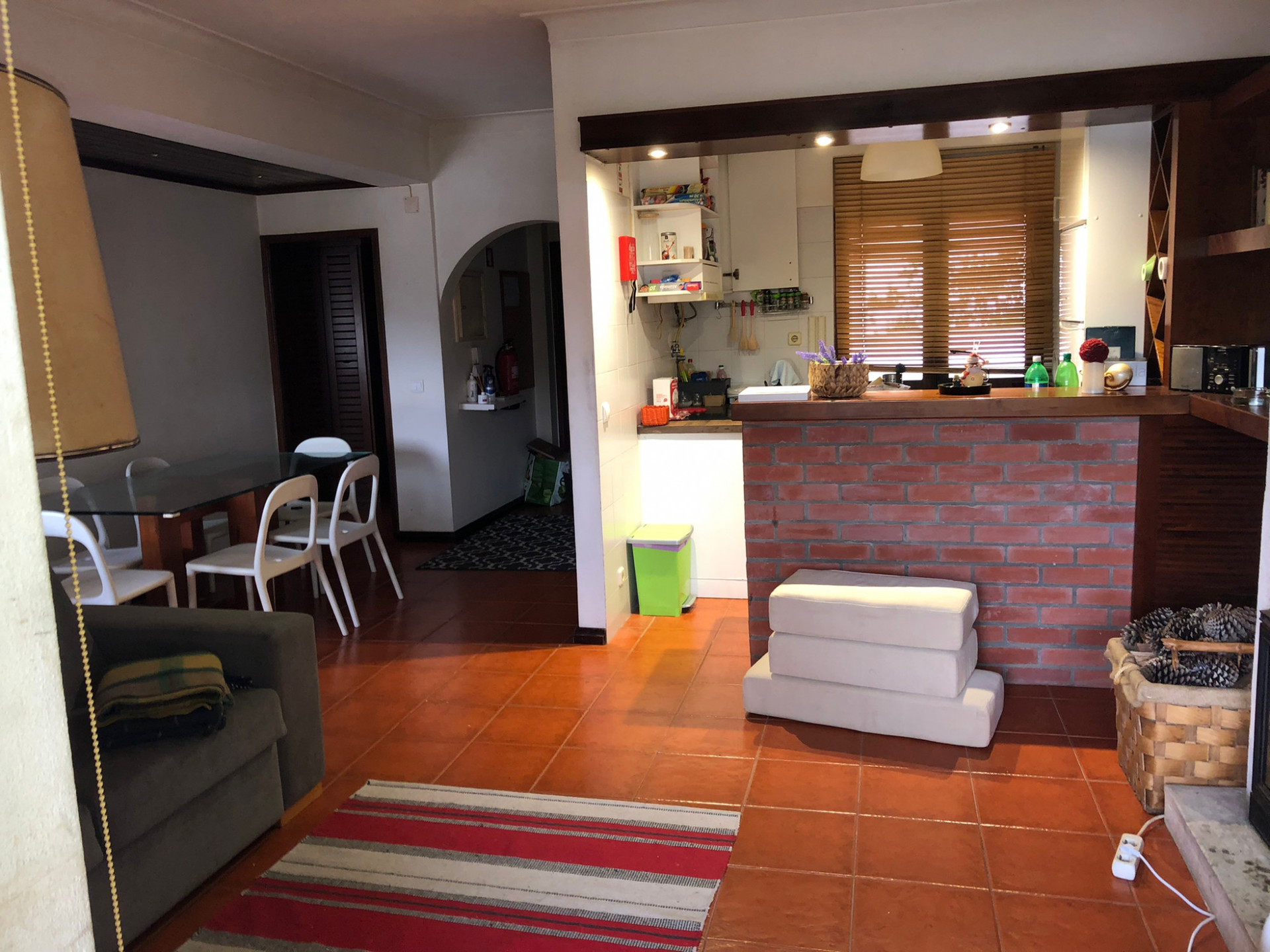 Living room, dinner room and kitchenette