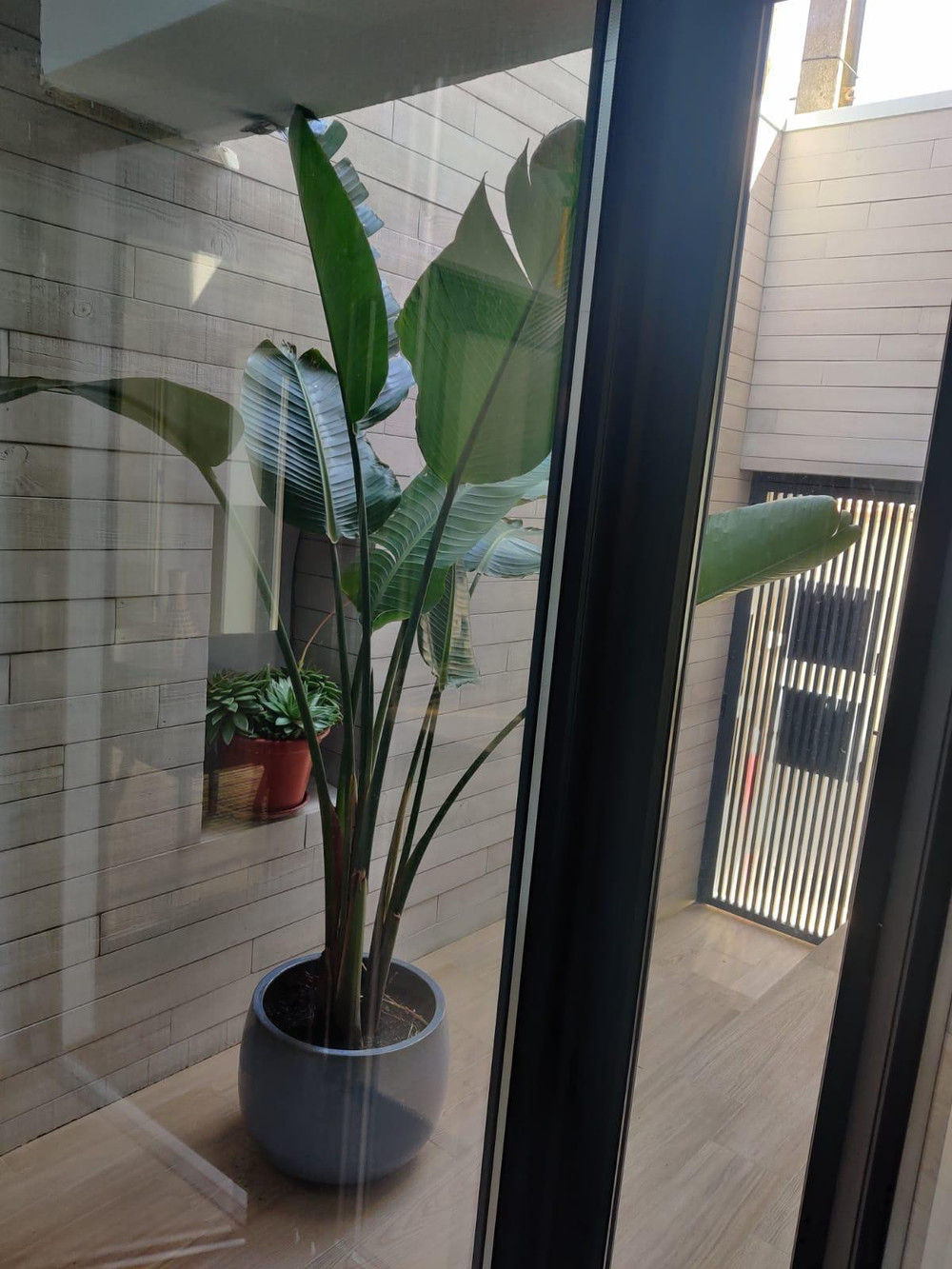 Apartment on the beach with patio preview