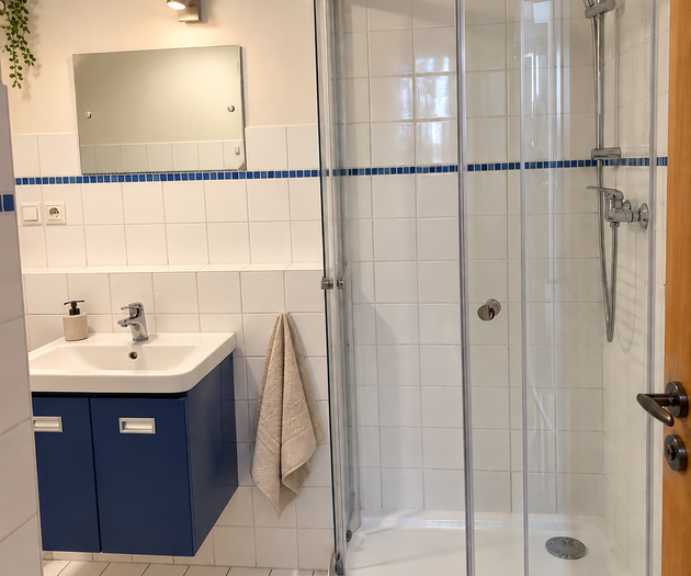 Modern bathroom with shower