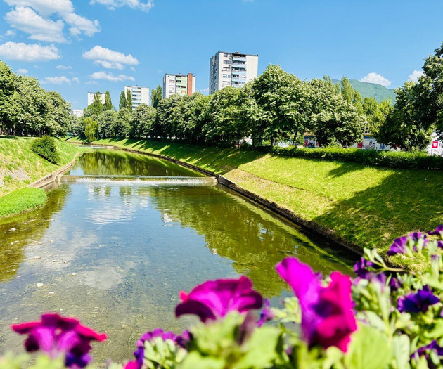Sunny 9th-Floor Flat · Views · 350 Mbps Workspace