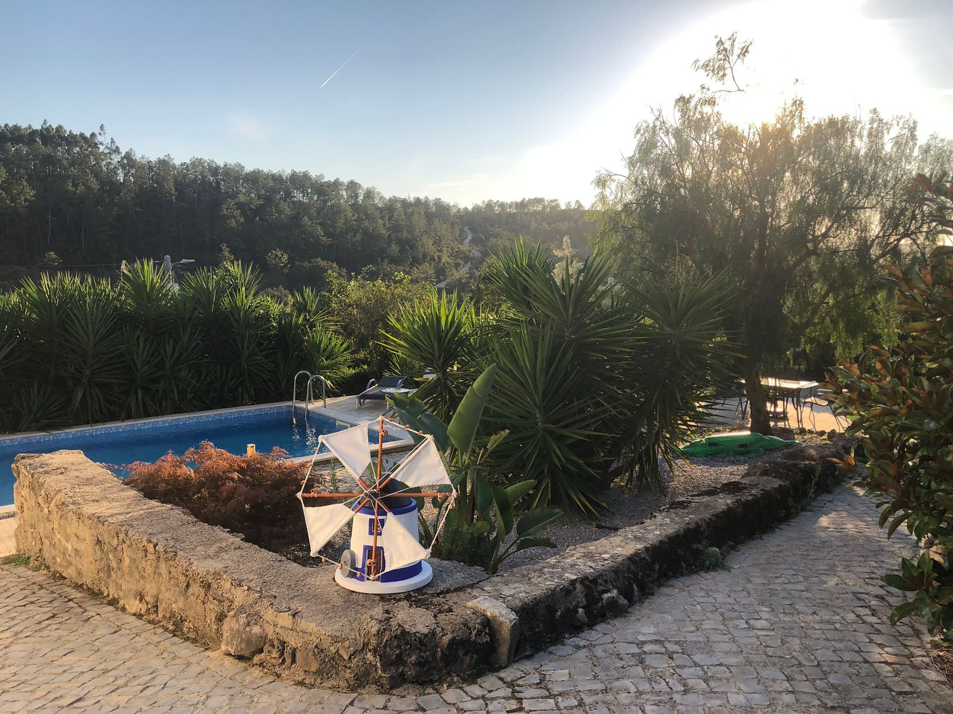 Privat eyard