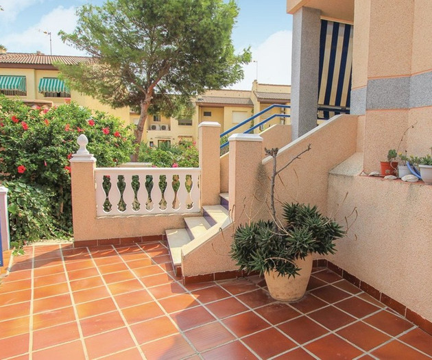 Terrace with steps and plants