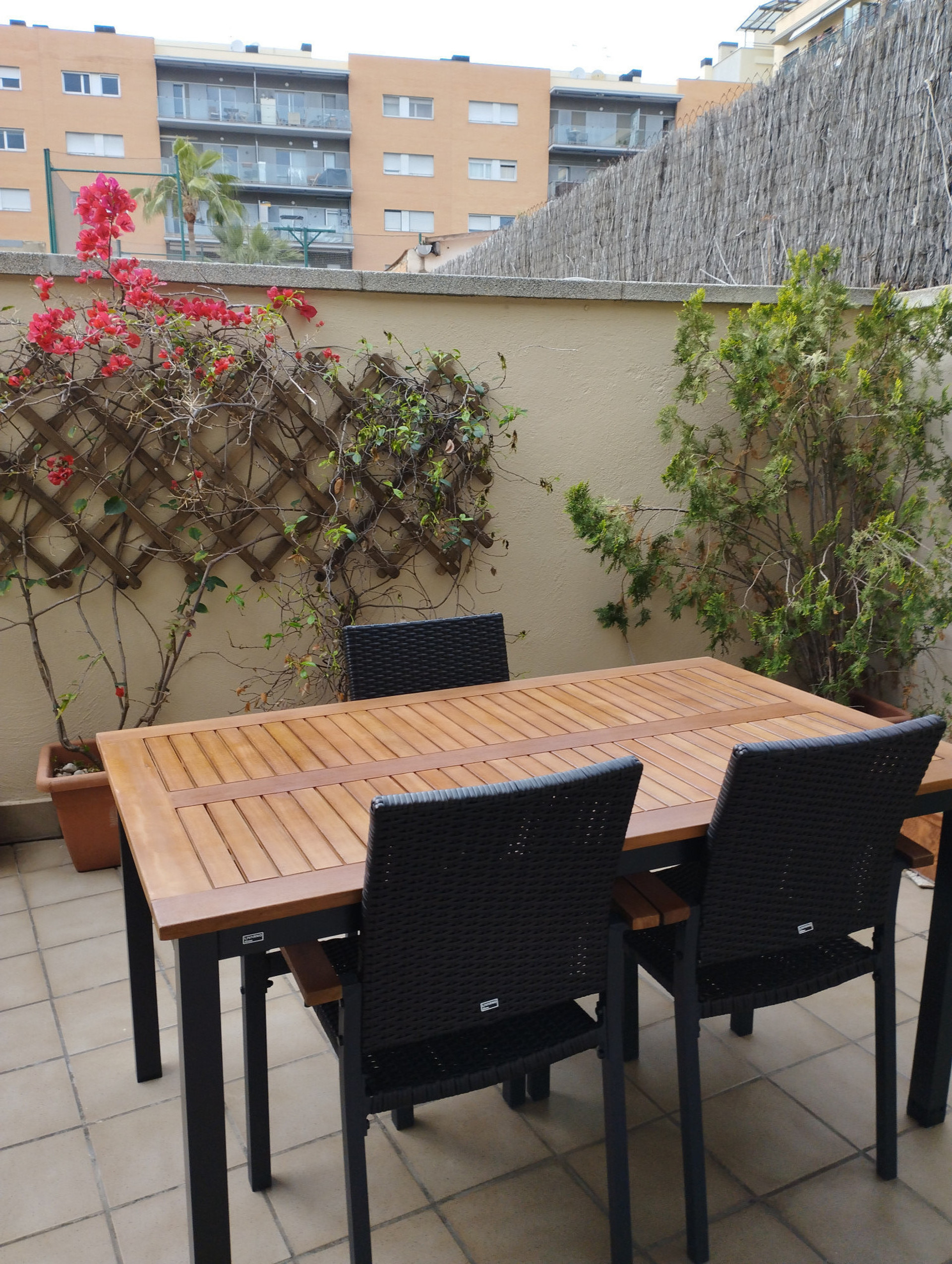 Terraza
