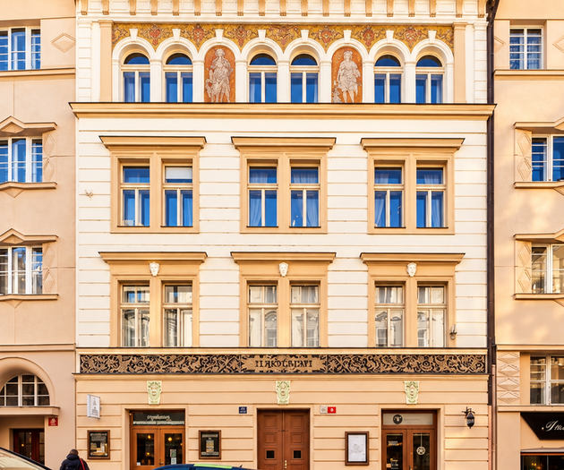 Hound Deluxe Suite | Historic Vysehrad Luxury