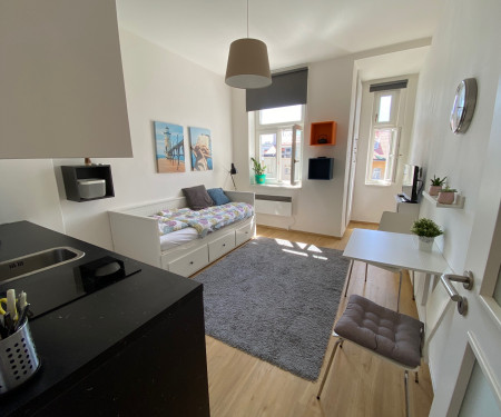 Apartamento para arrendar  - Prague 2 - Vinohrady