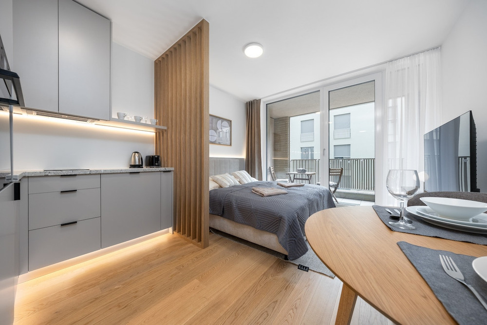 Lux Studio Vydrica | Balcony | Castle & Danube preview