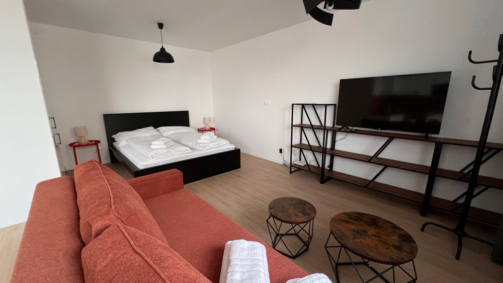 Studio Apartment with terrace, new building preview