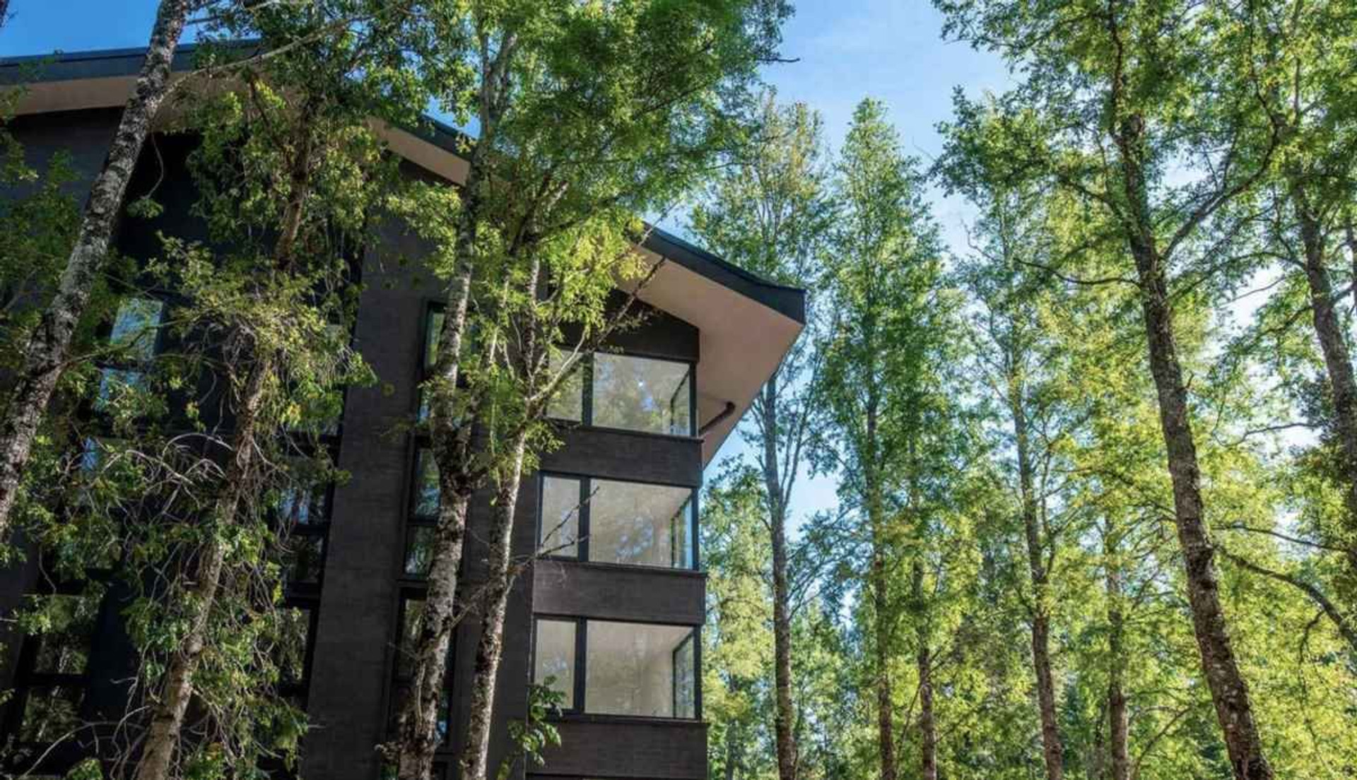 Modern forest living just minutes from downtown Pucón. Wake up surrounded by native trees in a quiet, secure condominium designed for comfort and nature-inspired living — perfect for remote work and balance.