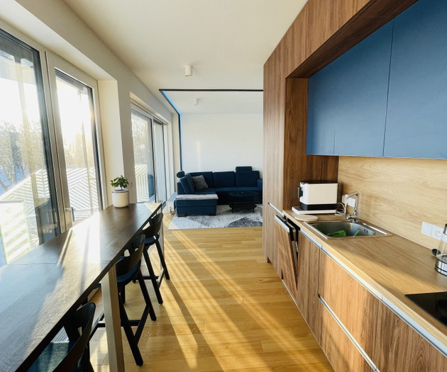 New luxurious apartment in Vilapark Klamovka