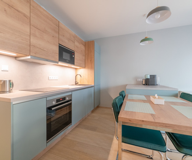 Vista Serenity Apartment with Parking Garage