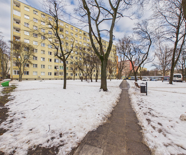 Grójecka — near Sczęśliwicki Park