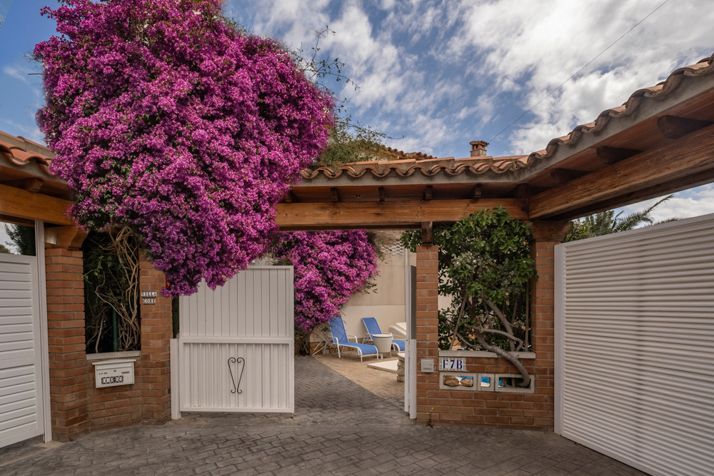 Miami Playa Villa cosy & swimming pool preview